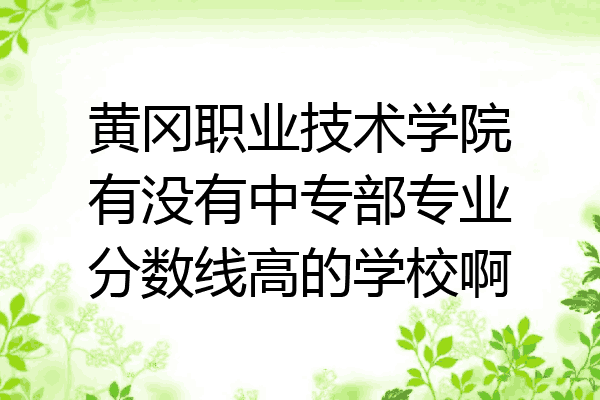 黄冈职业技术学院有没有中专部专业分数线高的学校啊