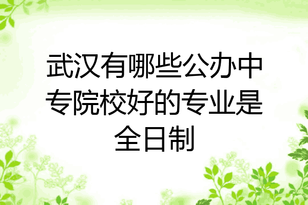武汉有哪些公办中专院校好的专业是全日制