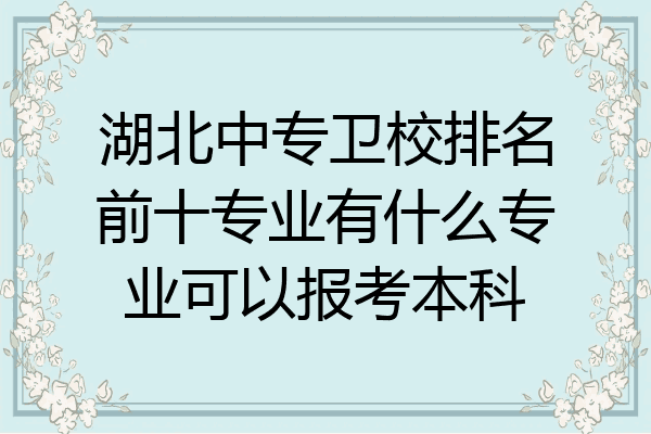 湖北中专卫校排名前十专业有什么专业可以报考本科
