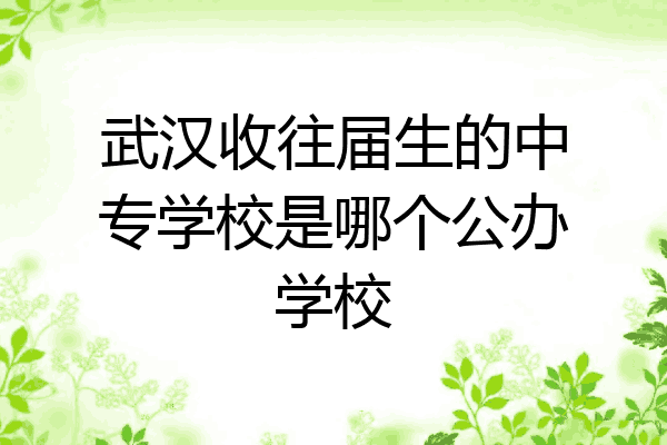 武汉收往届生的中专学校是哪个公办学校