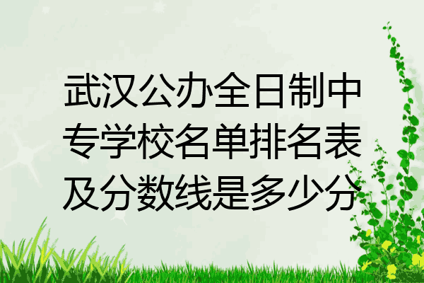 武汉公办全日制中专学校名单排名表及分数线是多少分