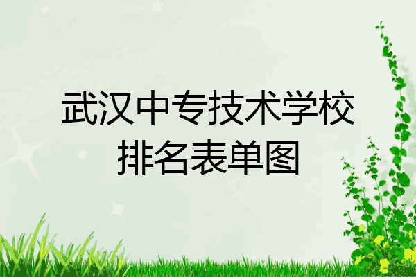武汉中专技术学校排名表单图