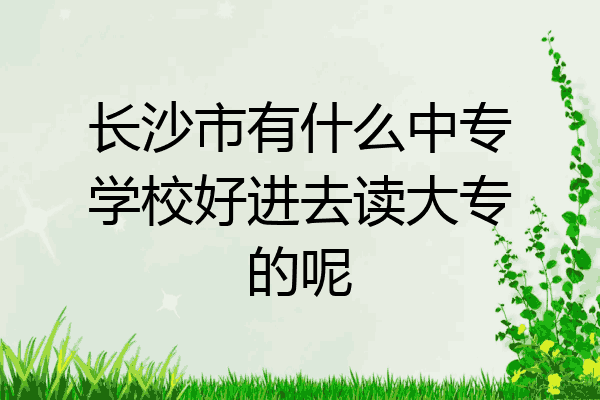 长沙市有什么中专学校好进去读大专的呢