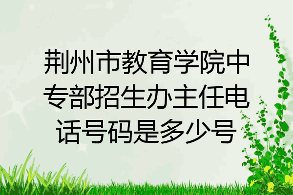 荆州市教育学院中专部招生办主任电话号码是多少号