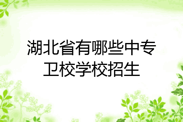 湖北省有哪些中专卫校学校招生