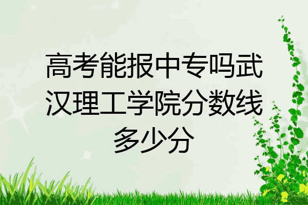 高考能报中专吗武汉理工学院分数线多少分