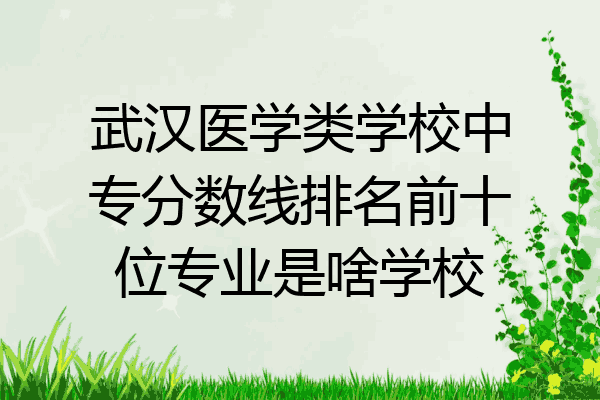 武汉医学类学校中专分数线排名前十位专业是啥学校