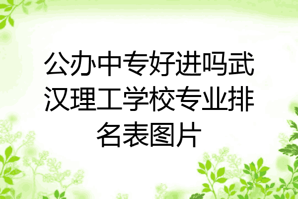 公办中专好进吗武汉理工学校专业排名表图片