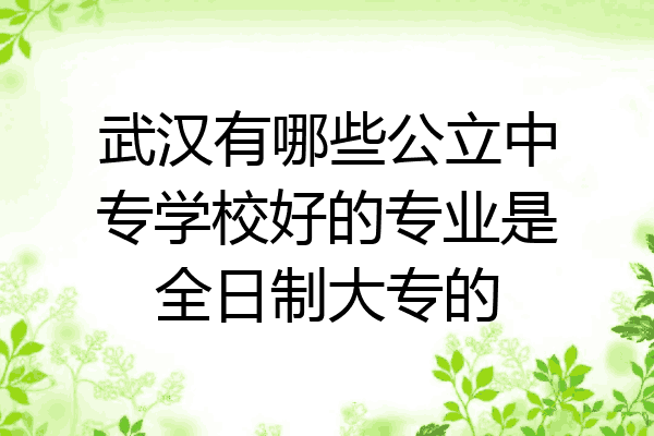 武汉有哪些公立中专学校好的专业是全日制大专的