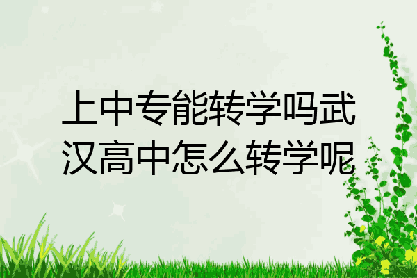 上中专能转学吗武汉高中怎么转学呢