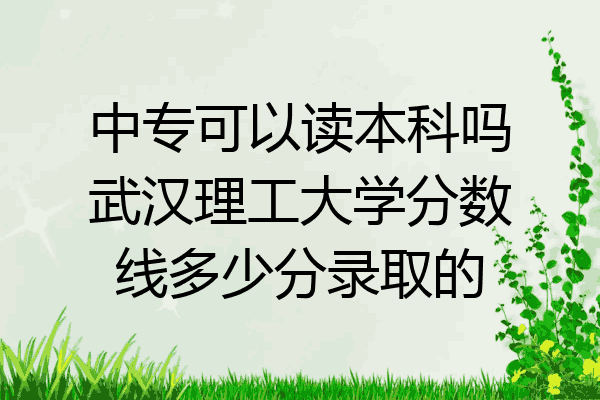 中专可以读本科吗武汉理工大学分数线多少分录取的