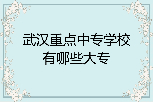 武汉重点中专学校有哪些大专