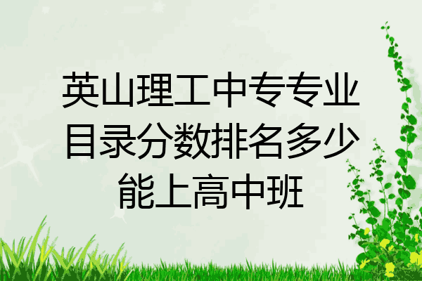 英山理工中专专业目录分数排名多少能上高中班