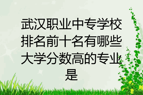 武汉职业中专学校排名前十名有哪些大学分数高的专业是