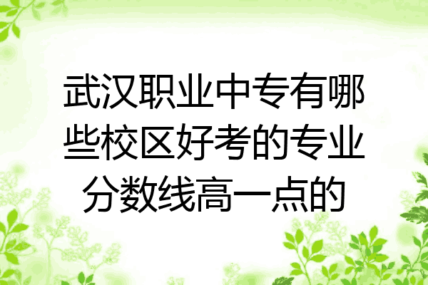 武汉职业中专有哪些校区好考的专业分数线高一点的