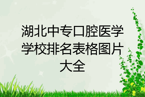 湖北中专口腔医学学校排名表格图片大全