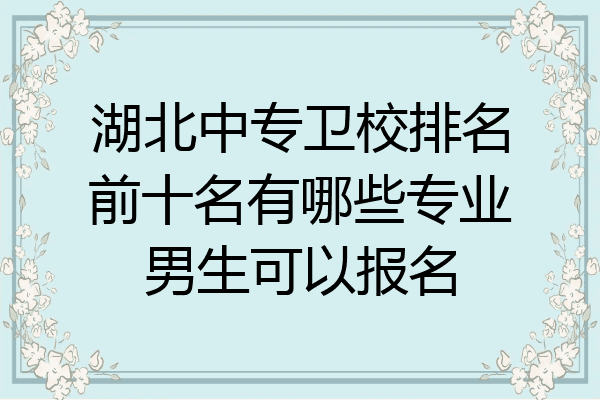 湖北中专卫校排名前十名有哪些专业男生可以报名