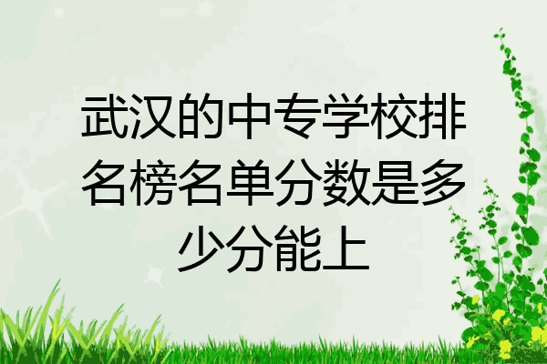 武汉的中专学校排名榜名单分数是多少分能上