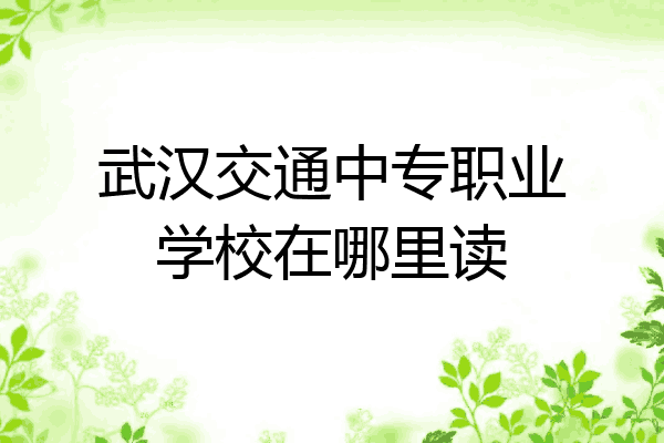 武汉交通中专职业学校在哪里读