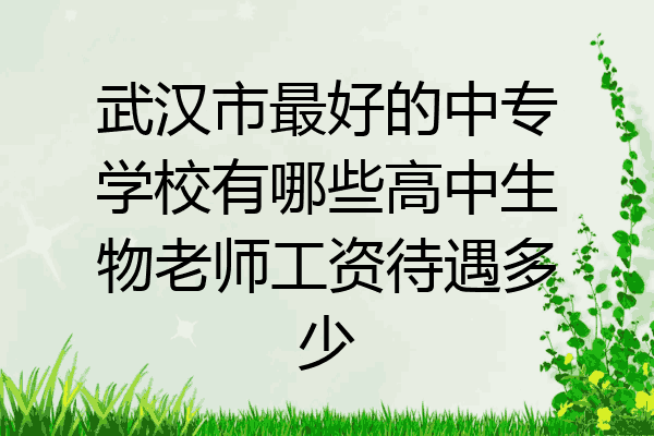 武汉市最好的中专学校有哪些高中生物老师工资待遇多少