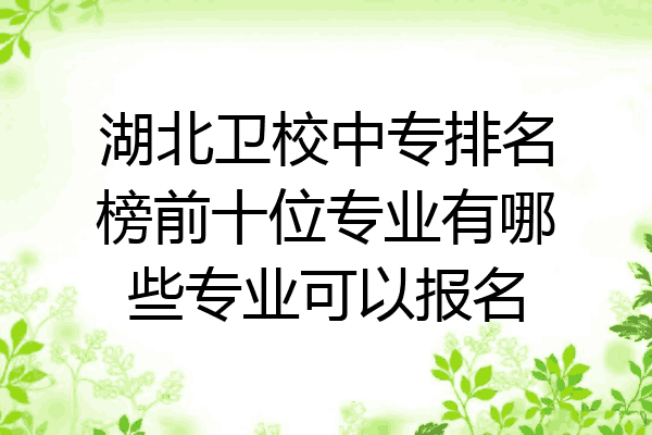 湖北卫校中专排名榜前十位专业有哪些专业可以报名