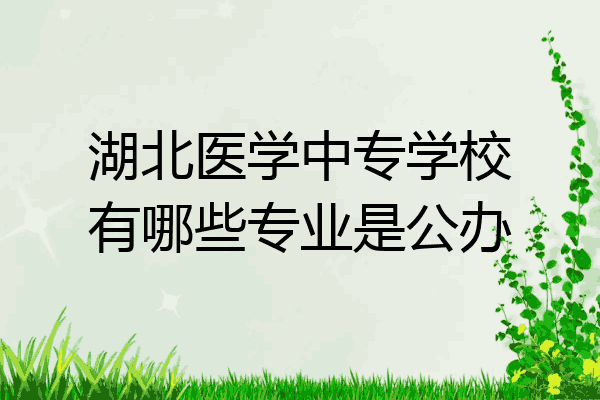 湖北医学中专学校有哪些专业是公办