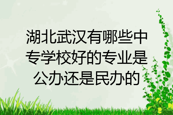湖北武汉有哪些中专学校好的专业是公办还是民办的