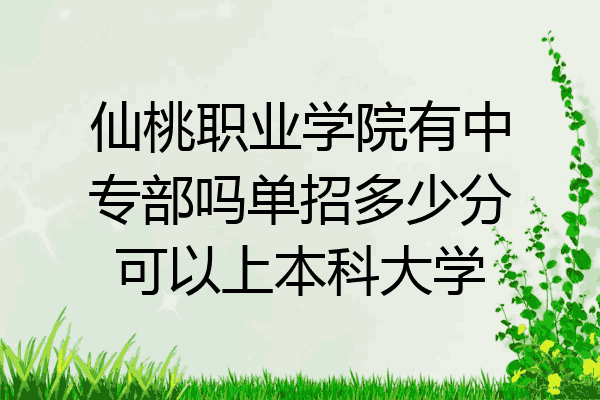 仙桃职业学院有中专部吗单招多少分可以上本科大学