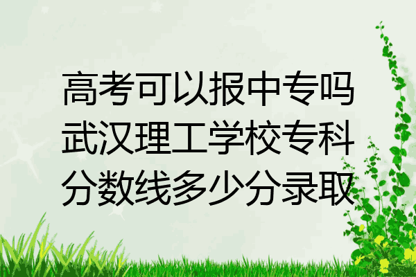高考可以报中专吗武汉理工学校专科分数线多少分录取