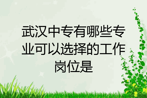 武汉中专有哪些专业可以选择的工作岗位是