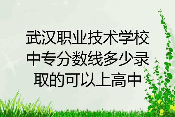 武汉职业技术学校中专分数线多少录取的可以上高中