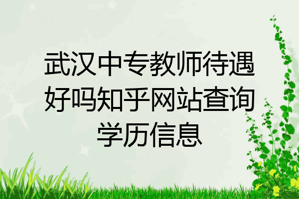 武汉中专教师待遇好吗知乎网站查询学历信息
