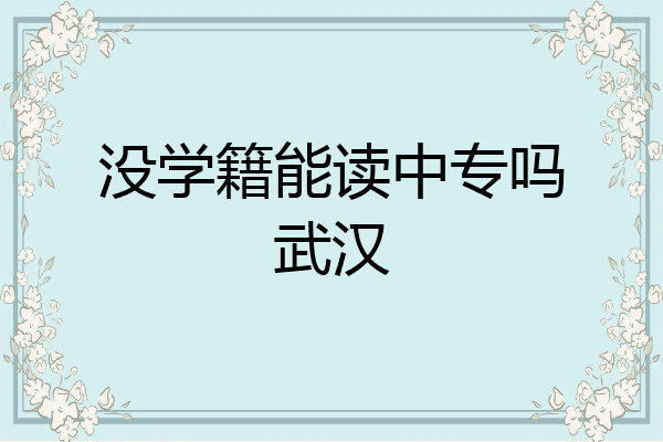 没学籍能读中专吗武汉