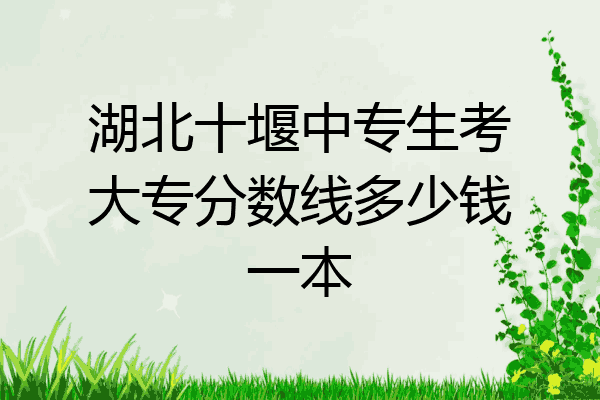 湖北十堰中专生考大专分数线多少钱一本