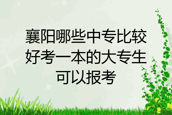 襄阳哪些中专比较好考一本的大专生可以报考