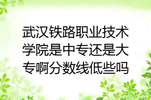 武汉铁路职业技术学院是中专还是大专啊分数线低些吗