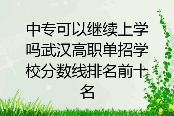 中专可以继续上学吗武汉高职单招学校分数线排名前十名