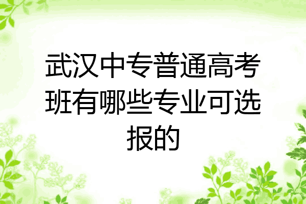 武汉中专普通高考班有哪些专业可选报的