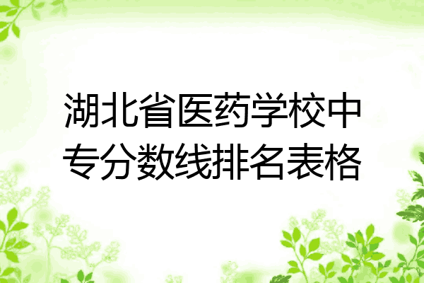 湖北省医药学校中专分数线排名表格