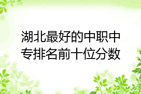湖北最好的中职中专排名前十位分数