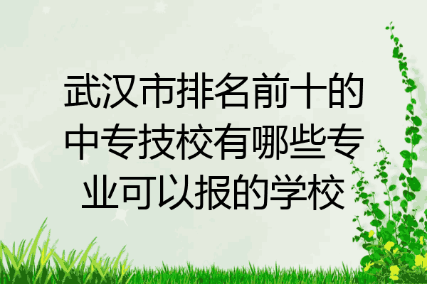 武汉市排名前十的中专技校有哪些专业可以报的学校