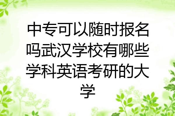 中专可以随时报名吗武汉学校有哪些学科英语考研的大学