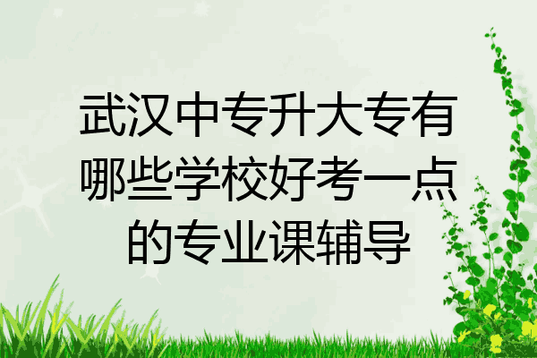 武汉中专升大专有哪些学校好考一点的专业课辅导