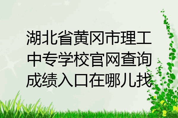 湖北省黄冈市理工中专学校官网查询成绩入口在哪儿找
