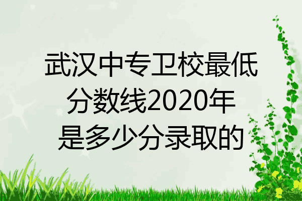 武汉中专卫校最低分数线2020年是多少分录取的