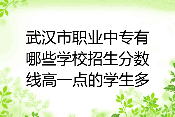 武汉市职业中专有哪些学校招生分数线高一点的学生多