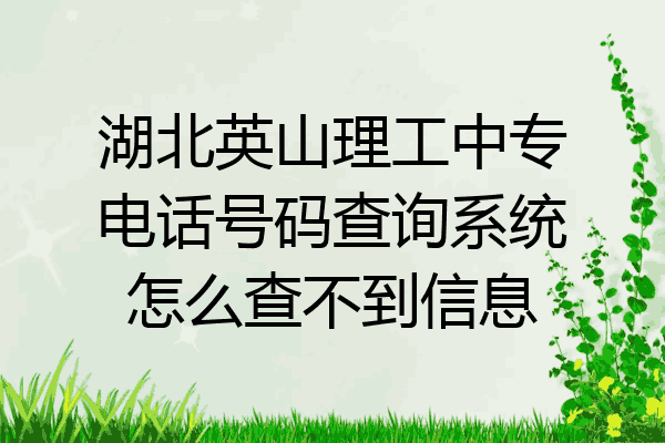 湖北英山理工中专电话号码查询系统怎么查不到信息