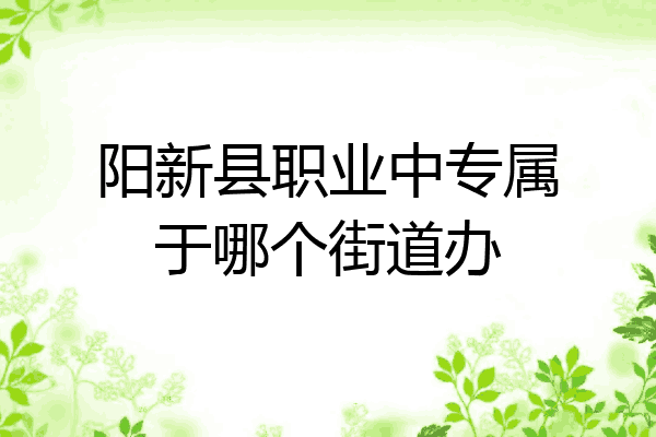 阳新县职业中专属于哪个街道办
