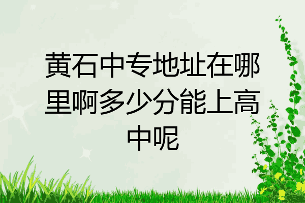 黄石中专地址在哪里啊多少分能上高中呢