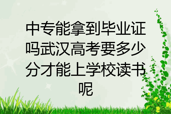 中专能拿到毕业证吗武汉高考要多少分才能上学校读书呢